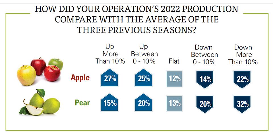 2023 State of the Fruit and Nut Industry survey chart on apple and pear production in 2022
