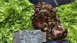 North Carolina Farmer Shares Her 5 Favorite Lettuce Varieties To Grow