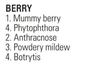 Diseases