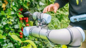 ChatGPT, Can You Help Design a Tomato Harvesting Robot? Yes