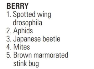 Insects