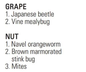 Insects