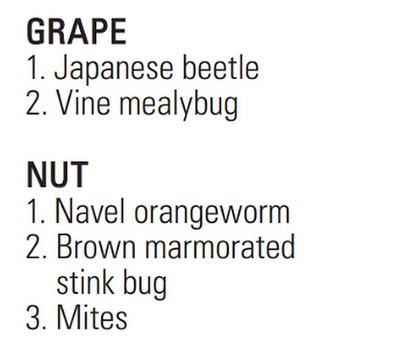 Insects