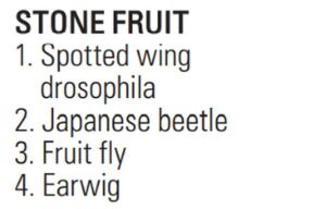 Insects