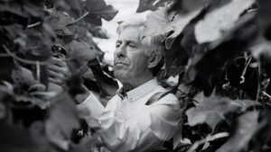 Peter Koppert