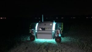 A Mighty Duo! UV Light and Predatory Mites Fight Strawberry Pest, But …