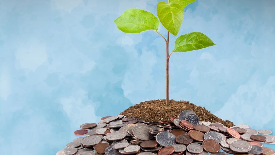 Financial Planning Advice To Keep Your Farm Growing - Growing Produce