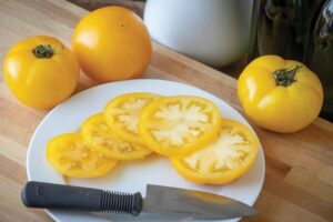 Lemon Boy Plus (Seminis Seed America, Stokes Seeds Inc.)