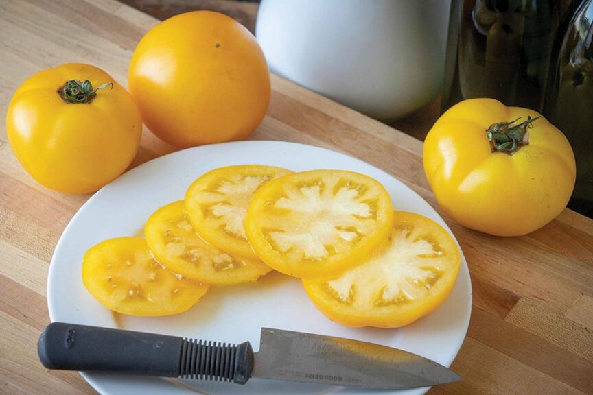 Lemon Boy Plus (Seminis Seed America, Stokes Seeds Inc.)