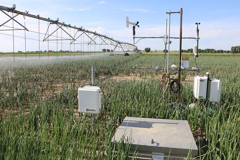 4 Emerging Technologies That Can Level up Your Farm’s Irrigation System