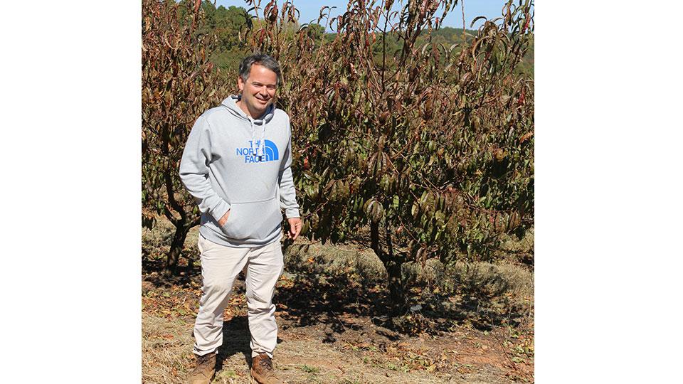Peach Grower Rises Above the Freeze — Here’s How They Did It