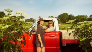 Cheers To Growing Elderberry — American Style