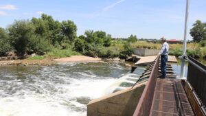2 Big Trends Impacting Vegetable Growers in Colorado Right Now