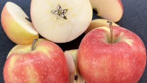 New Apple Has a New Name — Say Hello To ‘Sunflare’