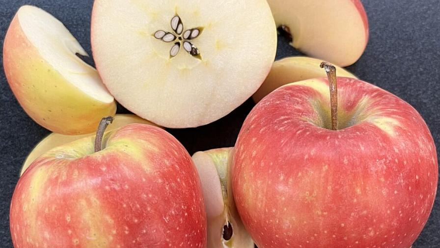 What’s the Next New Apple to Know? Try a Honeycrisp and Cripps Pink Hybrid