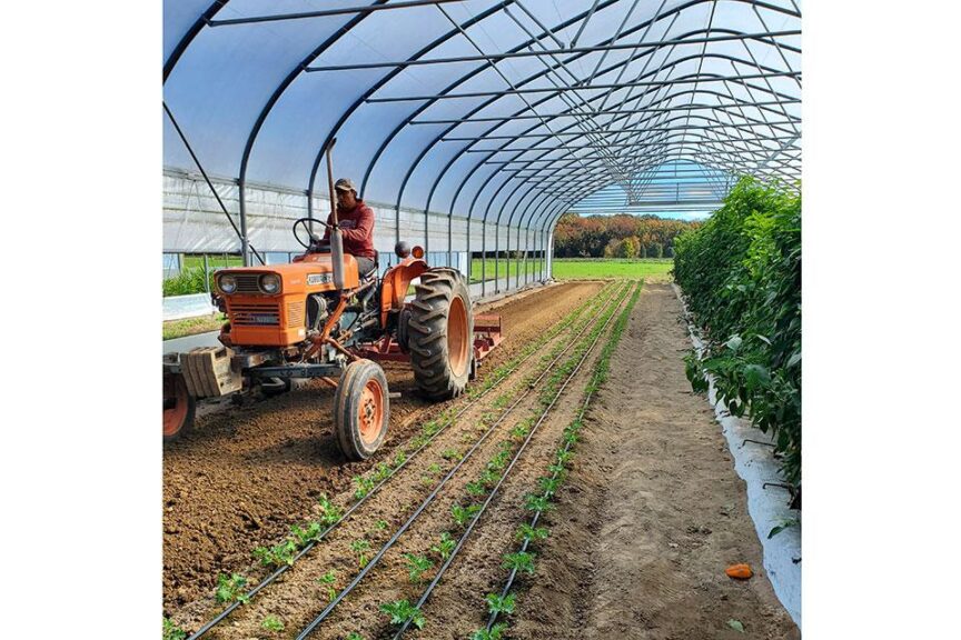 Greenhouse high tunnel (Beiler’s)