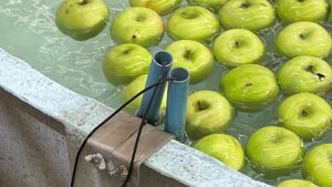 Postharvest Water Management: Why This Doesn’t Have To Be So Difficult