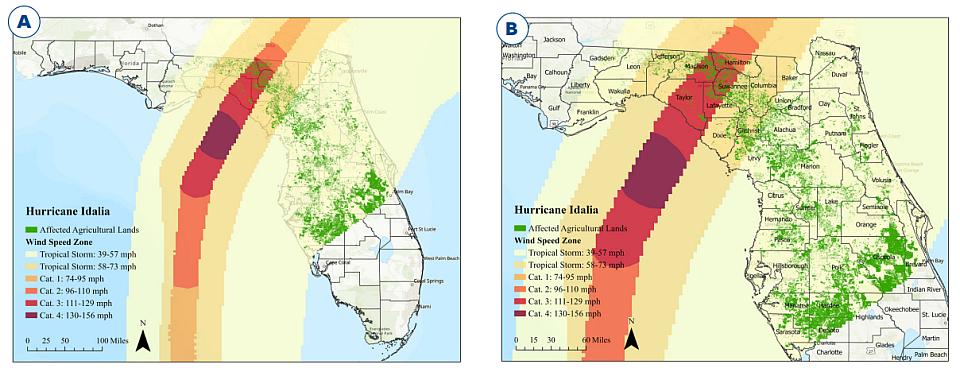 Wind swath map of Hurricane Idalia through Florida ag land