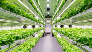 Controlled Environment Ag Research Set for New Growth in Florida