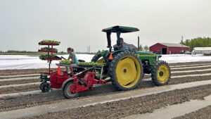 Planter (Mechanical Transplanter) 