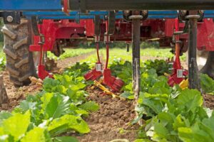 Finger Weeder (Tilmor) 