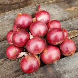 Red Marley (Seminis Vegetable Seeds | Stokes Seeds Inc.)