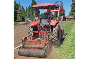 Mounted Mulcher TSG (Forigo)