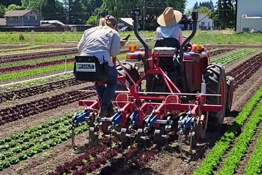 Argus Cultivator System (KULT Kress)