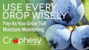 Are your fruit crops getting sufficient water? Here’s how to know.