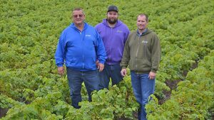 Great Grapevines On The Go With Double A Vineyards