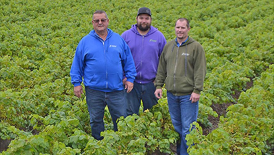Great Grapevines On The Go With Double A Vineyards
