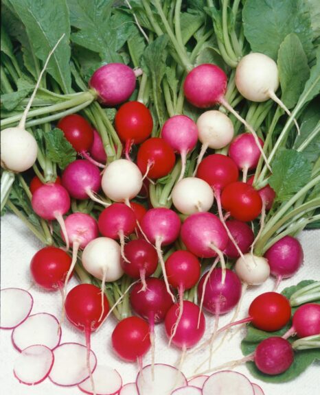 Easter Egg Mix (Terra Organics)