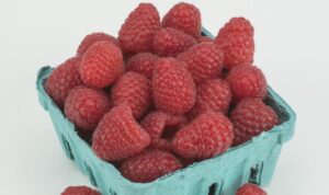 Mapema (Nourse Farms)