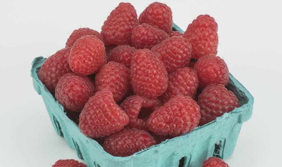 Mapema (Nourse Farms)