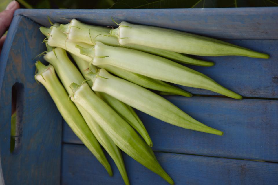 Less Common Vegetables You Will Want To Grow
