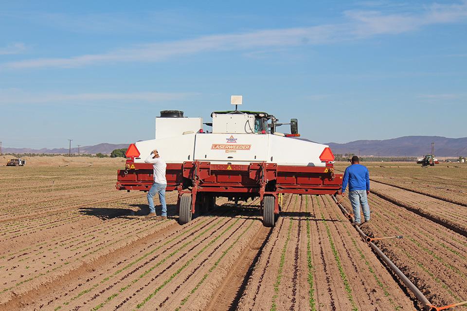 Laserweeding demo at JV Smith Cos
