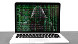 Scamming 101 Lesson: What Produce Growers Should Watch For