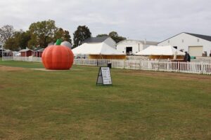 Outdoor Food Area