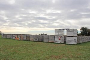 Lots of Mazes