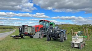 On Target for a Weed Control Victory in Vineyards