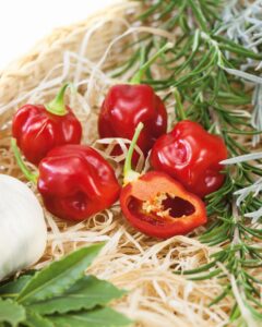 Caribbean Red (Terra Organics)