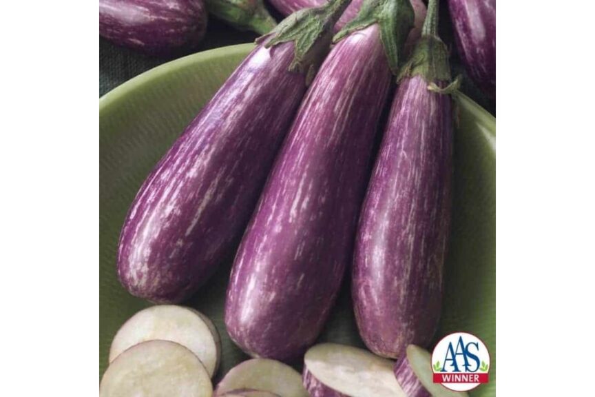 Fairy Tale (PanAmerican Seed)
