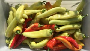 Potent Pepper Varieties That You’ll Want To Grow