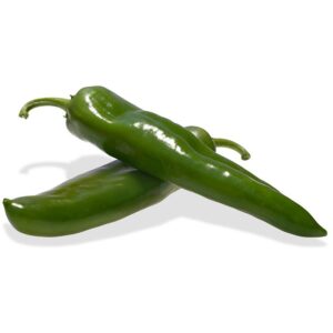 Lambo (US Agriseeds, Stokes Seeds)