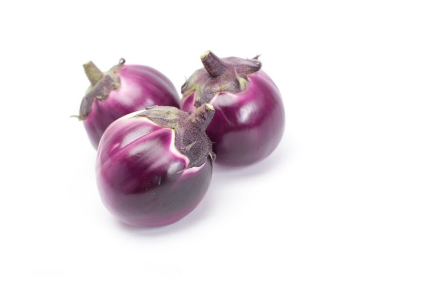 Sabelle RZ (Rijk Zwaan USA, Gowan Seed Company)