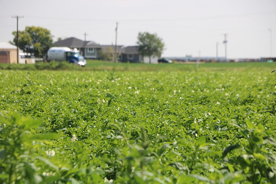 Wilbur-Ellis Introduces New Organic Nitrogen Fertilizer