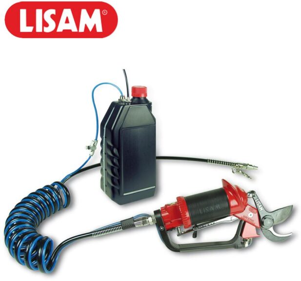 Various pruners, including Sana Sly pneumatic shear (Lisam)