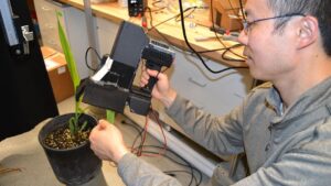 Ways Phenotyping Has a Growing Sense for Plant Health