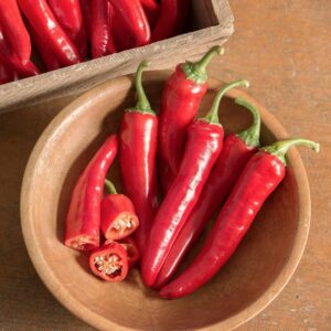 Red Ember (Johnny’s Selected Seeds)