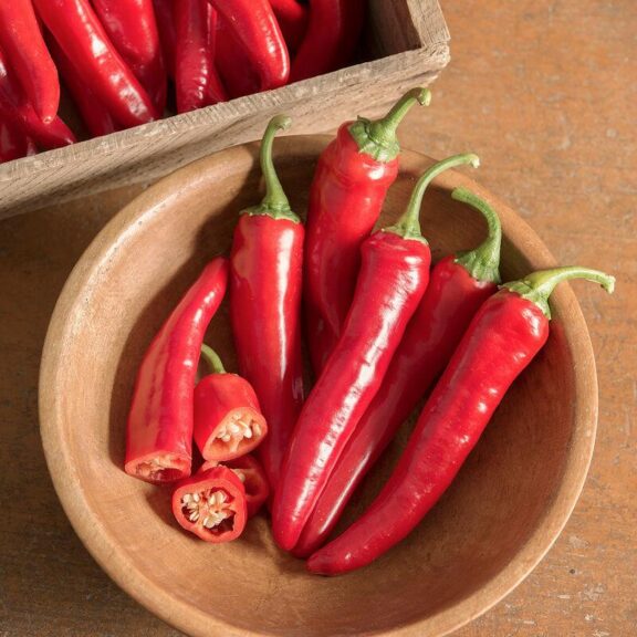 Red Ember (Johnny’s Selected Seeds)